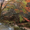 花貫渓谷の紅葉