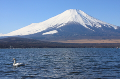 山中湖からの富士山