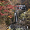 紅葉の袋田の滝