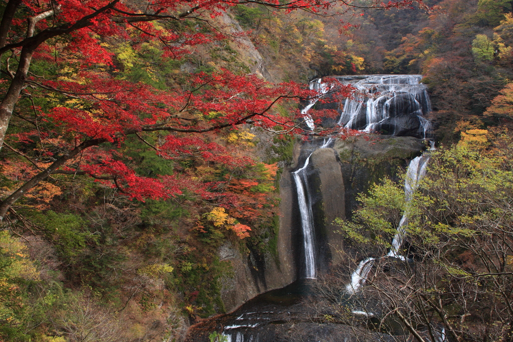 紅葉の袋田の滝