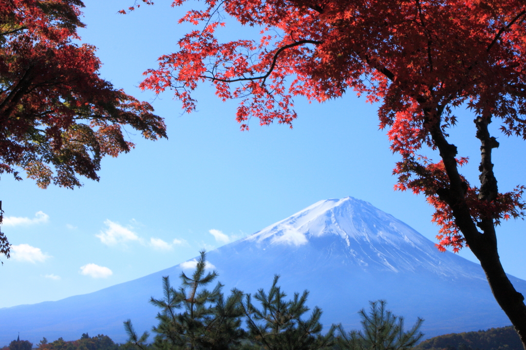富士山と紅葉