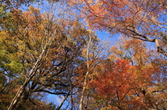 花貫渓谷の紅葉