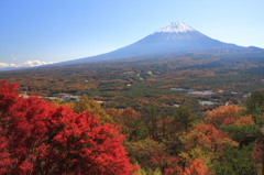 紅葉台からの富士山
