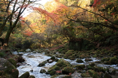 花貫渓谷の紅葉