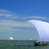 夏の帆引き船