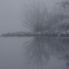 ある池の雪景