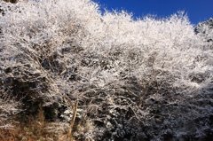 雪景色