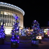 つくば百本のクリスマスツリー