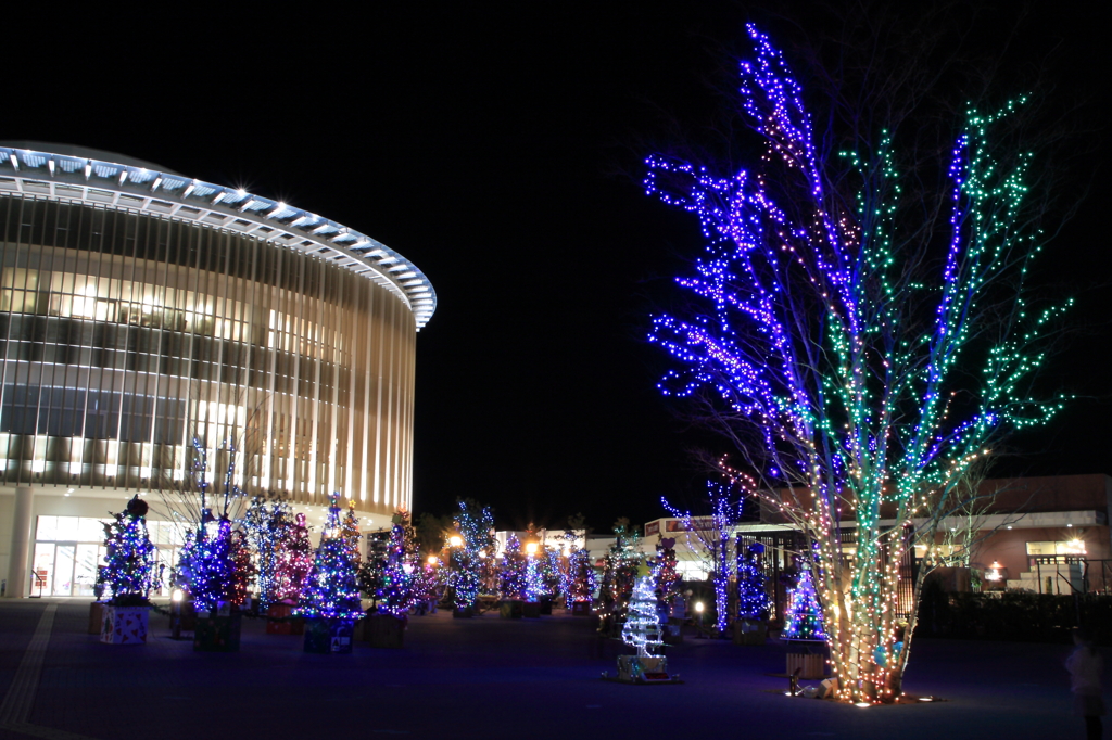 つくば百本のクリスマスツリー