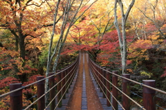 花貫渓谷の紅葉