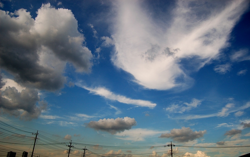 空の世界2006-No.15