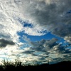 空
