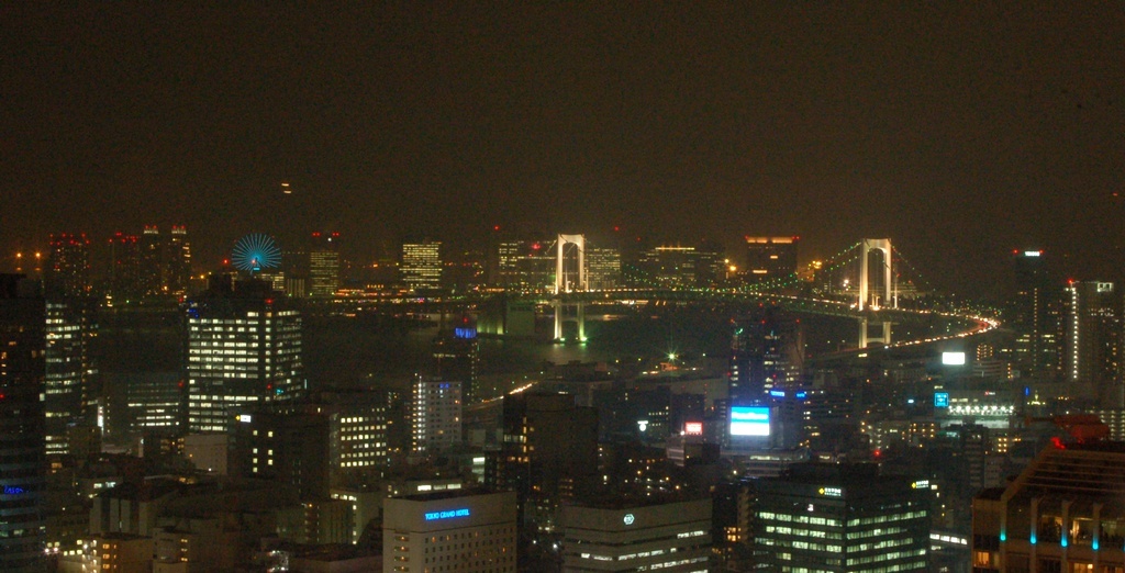 東京の夜景9