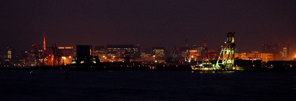 東京の夜景1