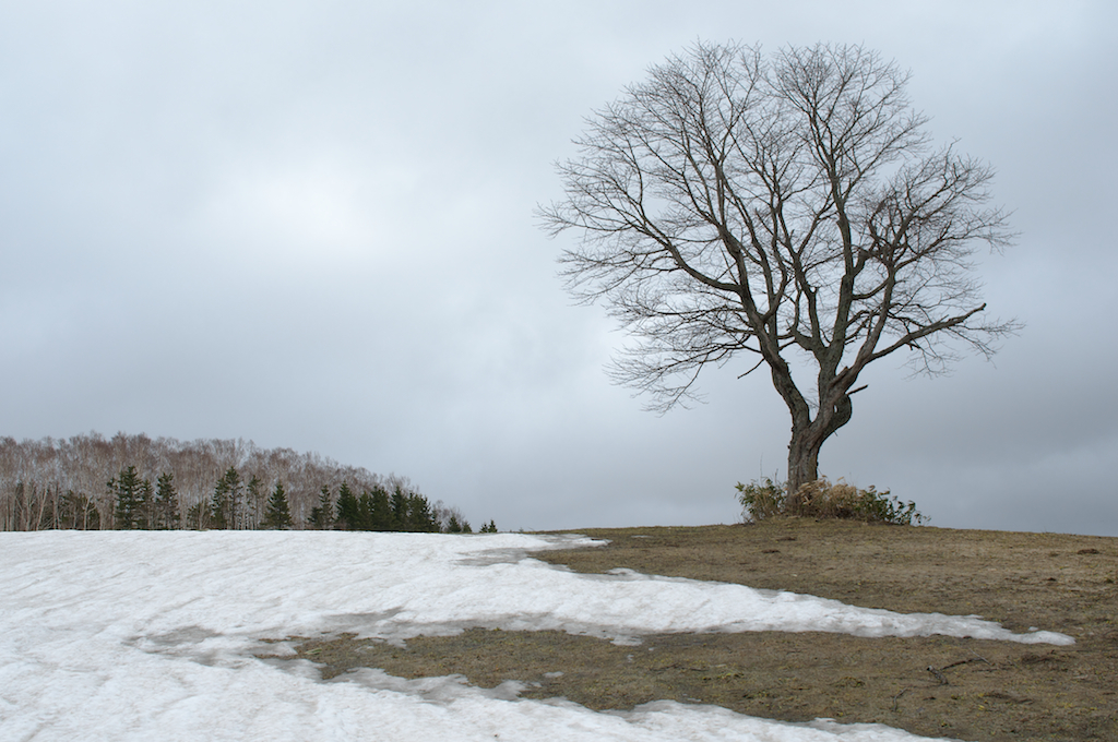 残雪の候