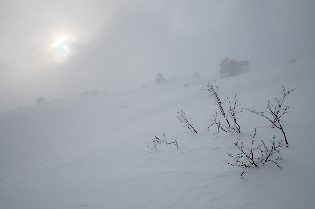 雪の高原