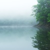 豊似湖の朝