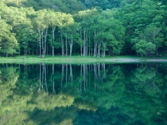 豊似湖の夕方