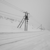 SNOWY