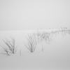 SNOWY