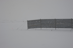 snowy day - フェンス -