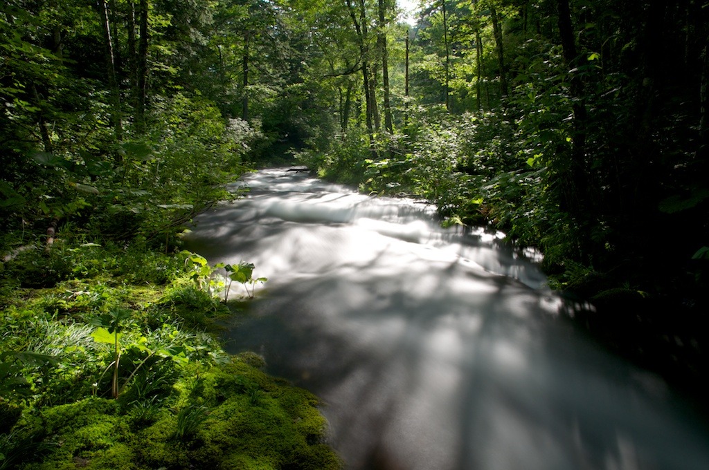 White Stream