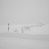 SNOWY