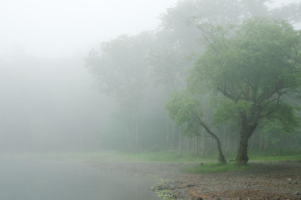 朝霧の湖畔