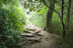 鎌倉山道