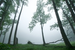 朝霧の豊似湖畔