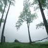 朝霧の豊似湖畔