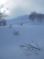 雪の色