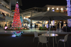 Christmas Time