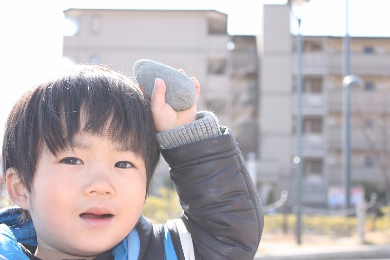 やっぱり石ころが好き