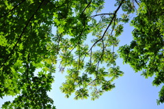 The Spring has come!