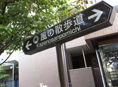 風の散歩道