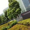 国立新美術館