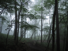 霧の中の山歩き