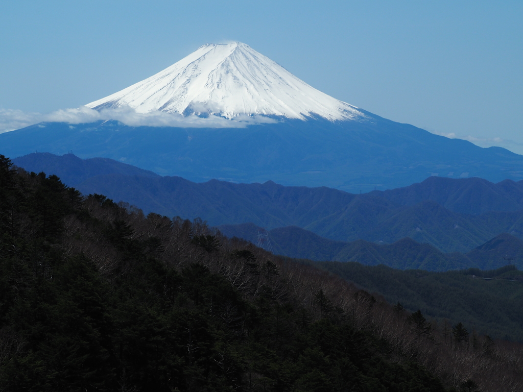 富士山