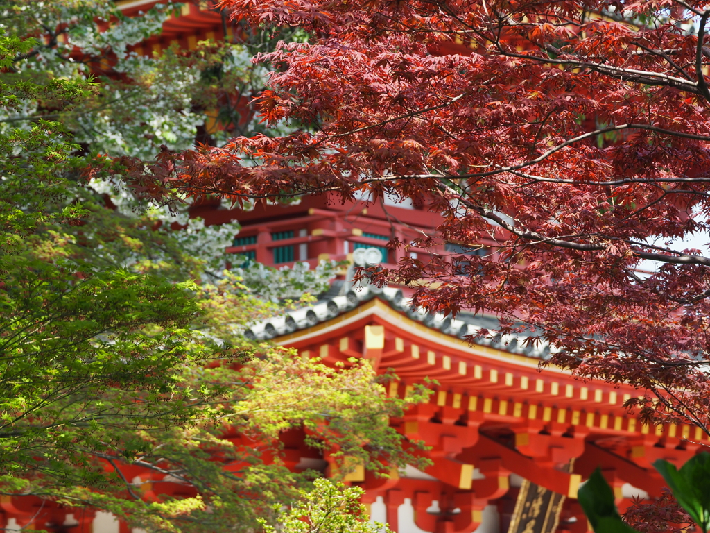 高幡不動尊五重塔