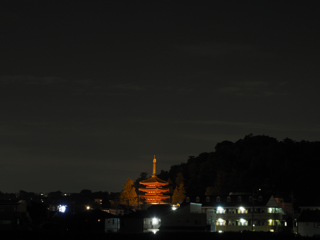 高幡不動の五重塔