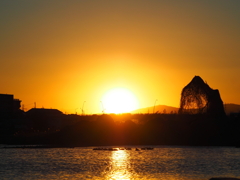 夕陽とオオバン