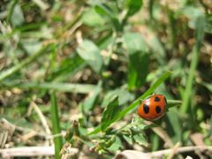 IMG_4408