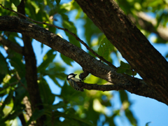 両手(足)でガシッと