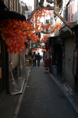 NoTitle