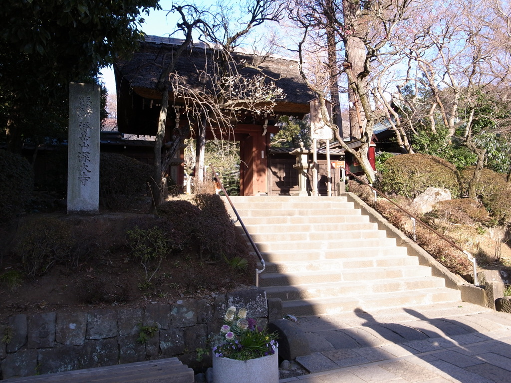 深大寺の山門。お賽銭箱の数がハンパなかった。。