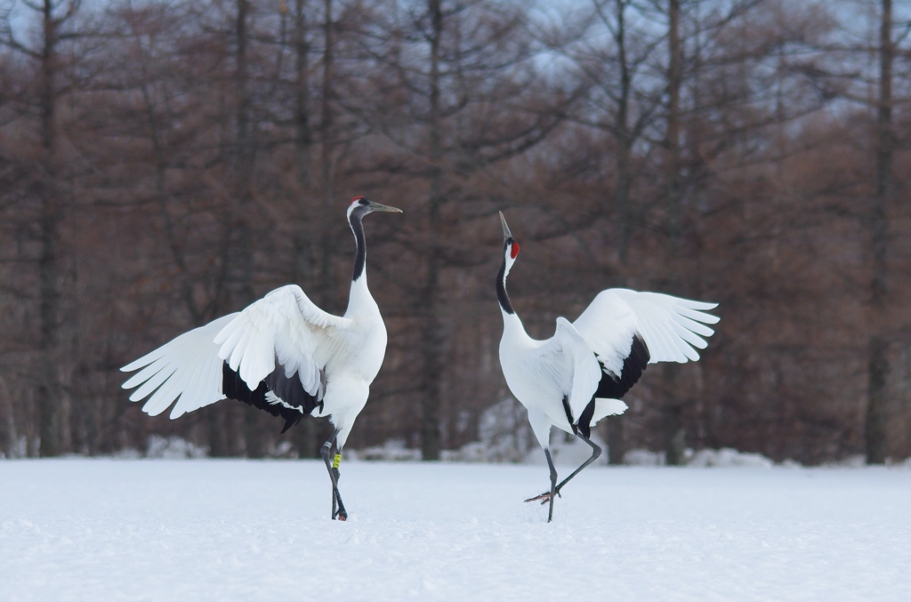 熱い思い　－８
