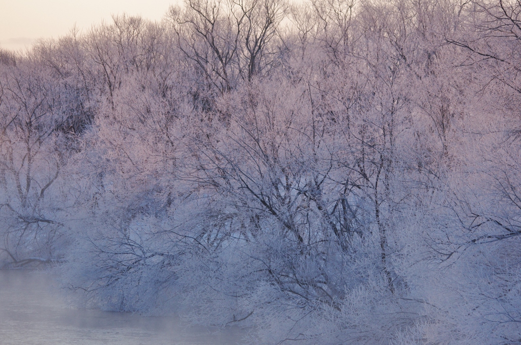 鶴居村の朝　－４