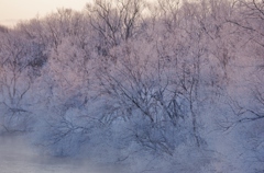 鶴居村の朝　－４