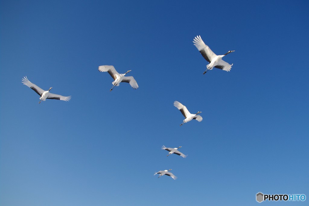 鶴居村の空　－３